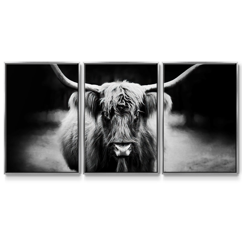 Photographie Étude de bovins Highland 3 pièces, H 24 po x l 48 po x P 2 po, Encadrement argenté