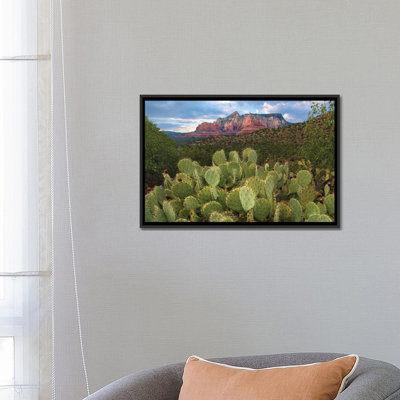 «Opuntia Cactus And Mountain, Red Rock-Secret Mountain Wilderness, Arizona» par Tim Fitcharris - reproduction d'art sur toile tendue