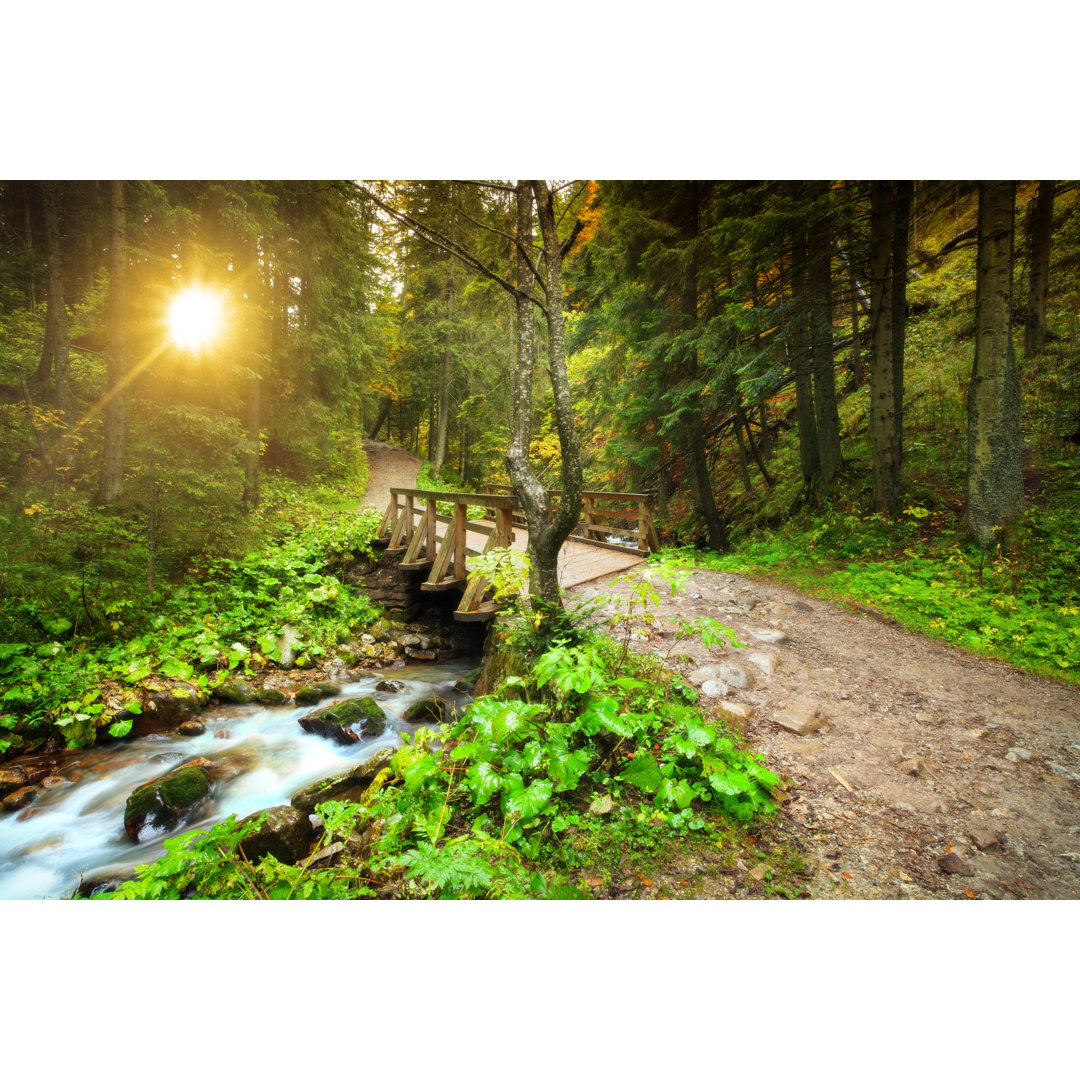 Bergwald im Sonnenuntergang von Konradlew - Leinwandbild