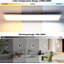 Auterson LED Flush Mount