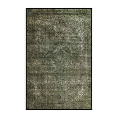 Jamil Oriental Indoor Rug