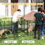 Chenil d'extérieur pour chien avec toit, bols ajustables et enclos spacieux pour grands animaux. Couleur café. Espace privé, aire de jeux et système de rotation à 360°.