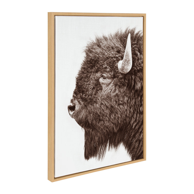 «Bison Profile» par Amy Peterson, reproduction d'art sur toile encadrée, H 23 po x l 33 po x P 1,62 po