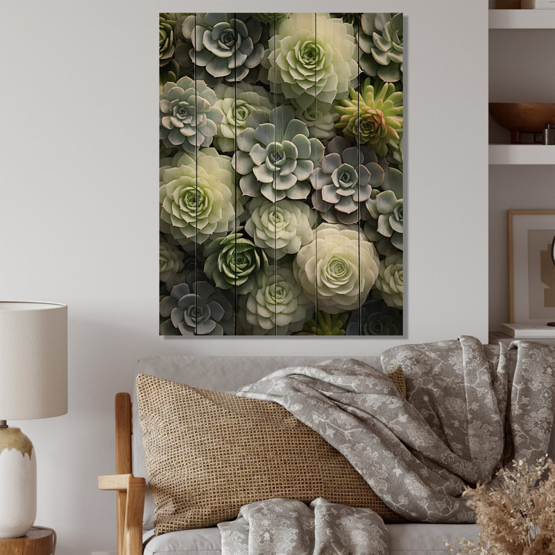 «Green Succulents Flowers Serene Succulents II», reproduction sur bois, H 40 po x l 30 po x P 0,78 po