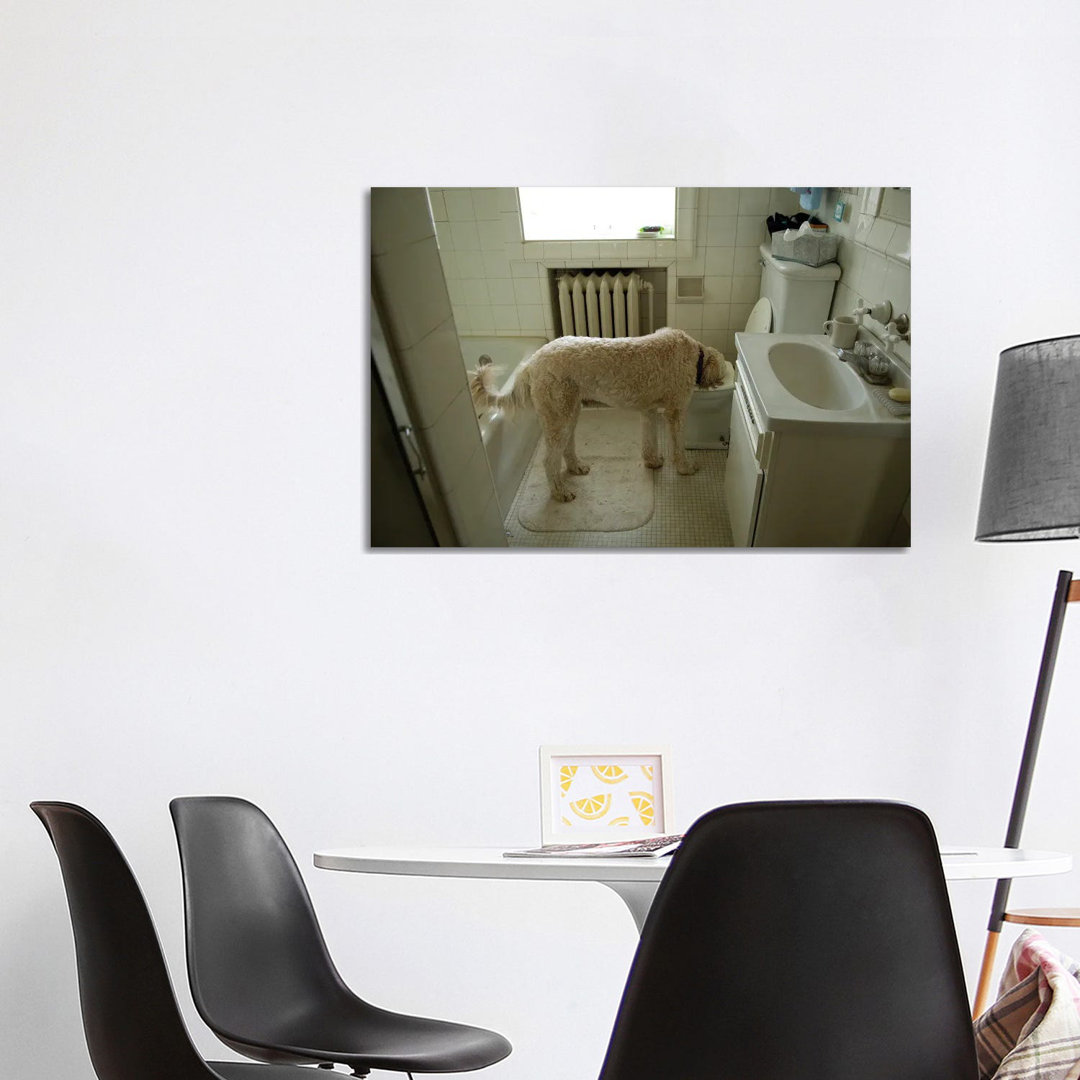 A Dog Drinks Out Of A Toilet by Joel Sartore - Galerie-verpackte Leinwand Giclée