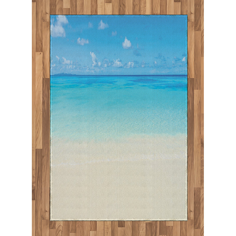 Eccleston Ombre Hand Woven Area Rug, Rectangle 120 x 180cm