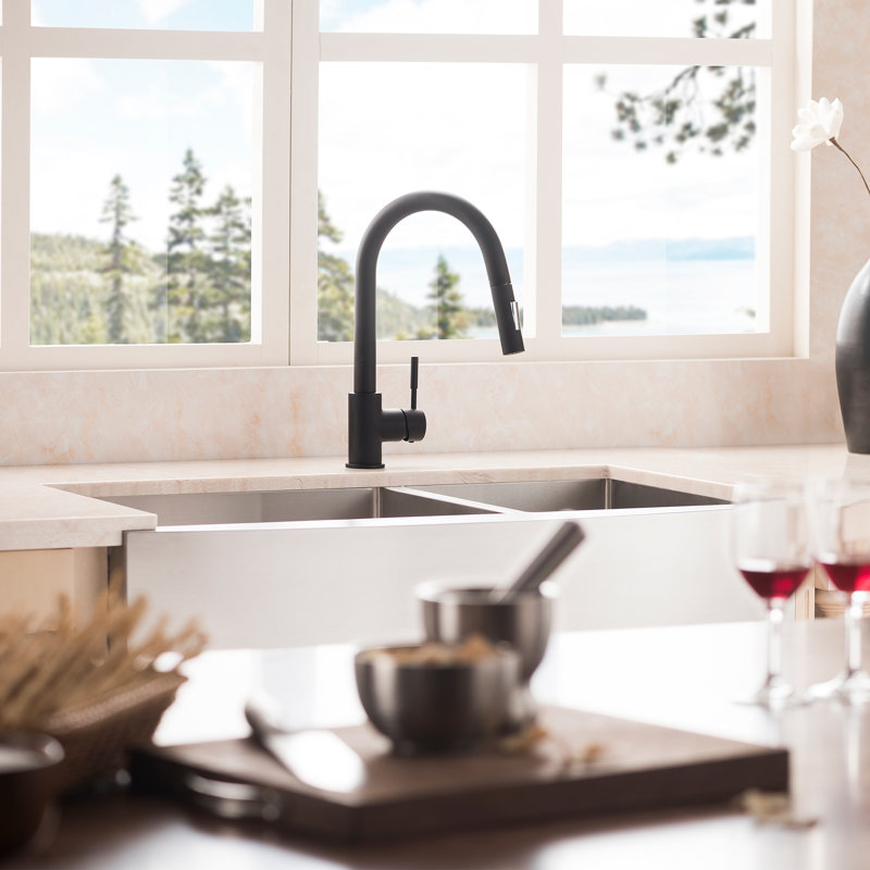Gemini Single Handle Kitchen Faucet with Side Spray and Accessories, Matte Black