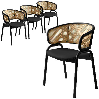 Daishun Dining Chair With Curved Wicker Back Armchair And Stainless Steel Frame And Legs Fegan Collection