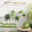 Support à plante pour plantes d'intérieur suspendues pour plantes d'intérieur Porte-plante à suspendre