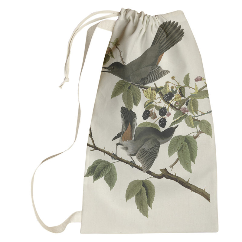 Sac à linge pour chat oiseau Maciejewski, Petit (H 64 po x l 20 po x P 1,5 po), Vert / blanc
