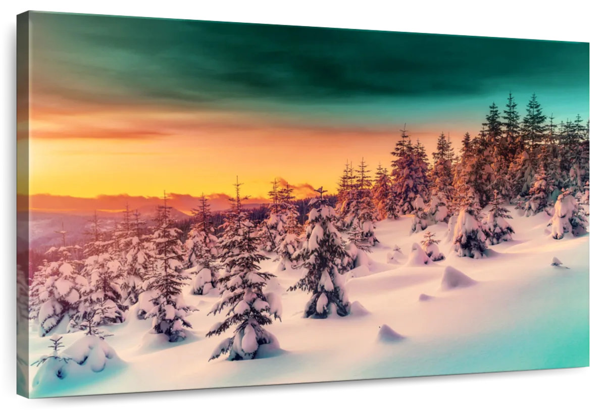 Millwood Pines Alvord Sunset Aesthetic | Wayfair