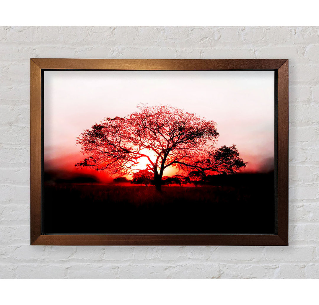 Kunstdruck Red Sunrise Oak Tree