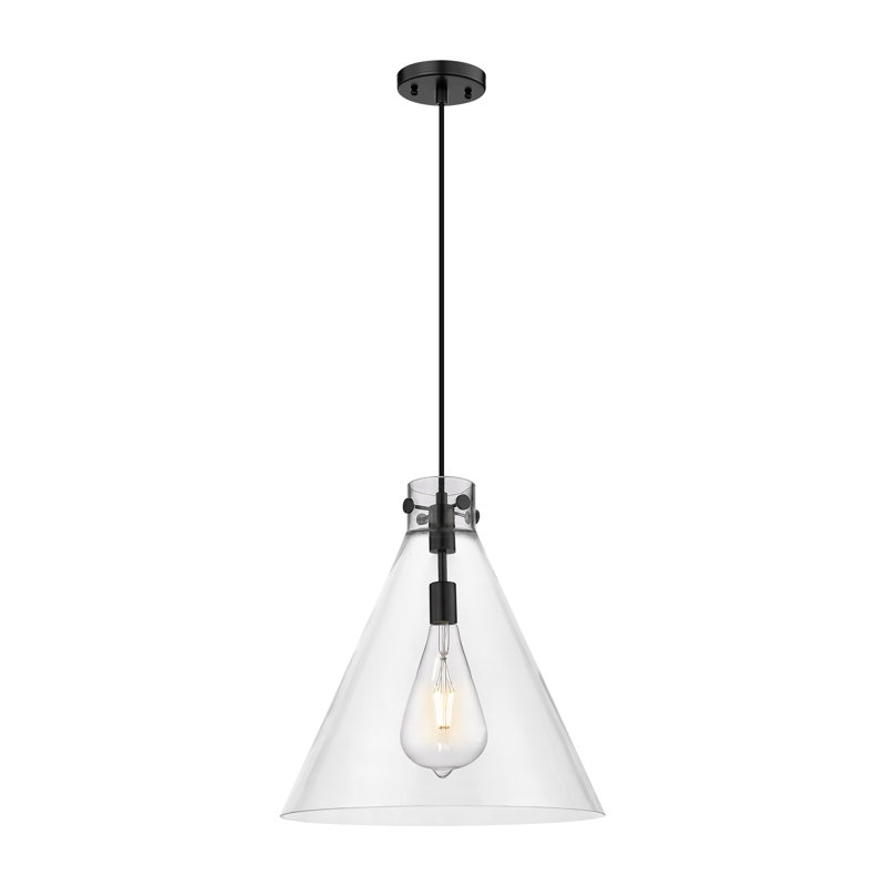 1 - Light Single Drop Pendant Pendant, Clear, 16.5" H x 14" W x 14" D, Matte Black
