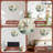 Elegant Crane Wall Clock