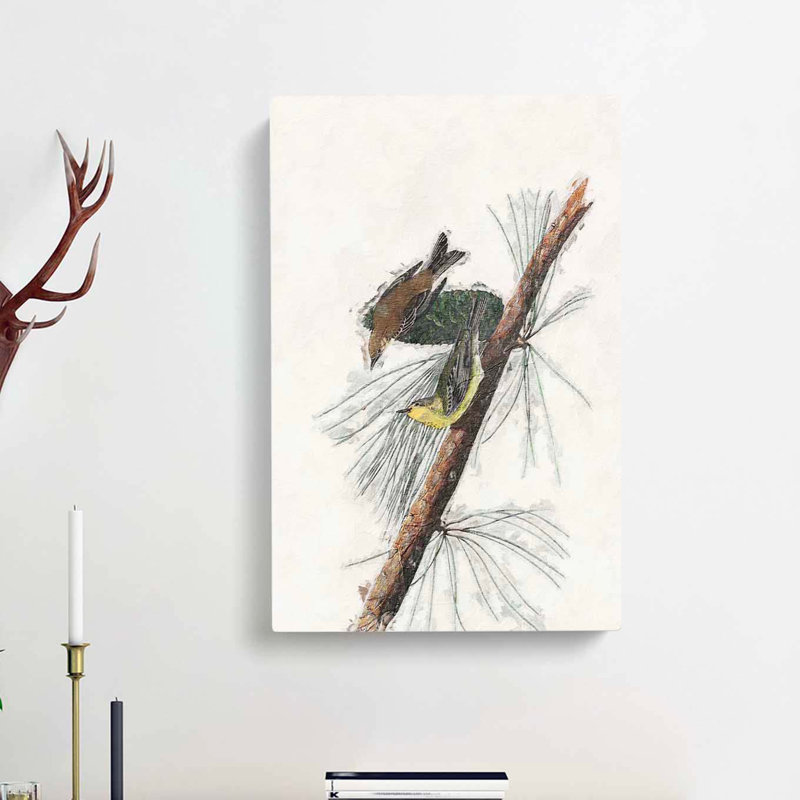 Pine Creeping Warbler by John Audubon - Wrapped Canvas Painting, 50cm H x 35cm W x 3cm D