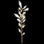 Foret 4 - Light Wallchiere-50334123