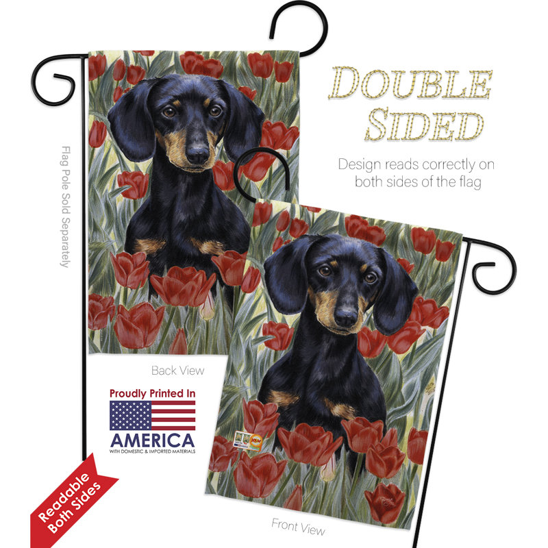 Ensemble de drapeaux en polyester 1,5 x 1,1 pi Dachsund in Tulips