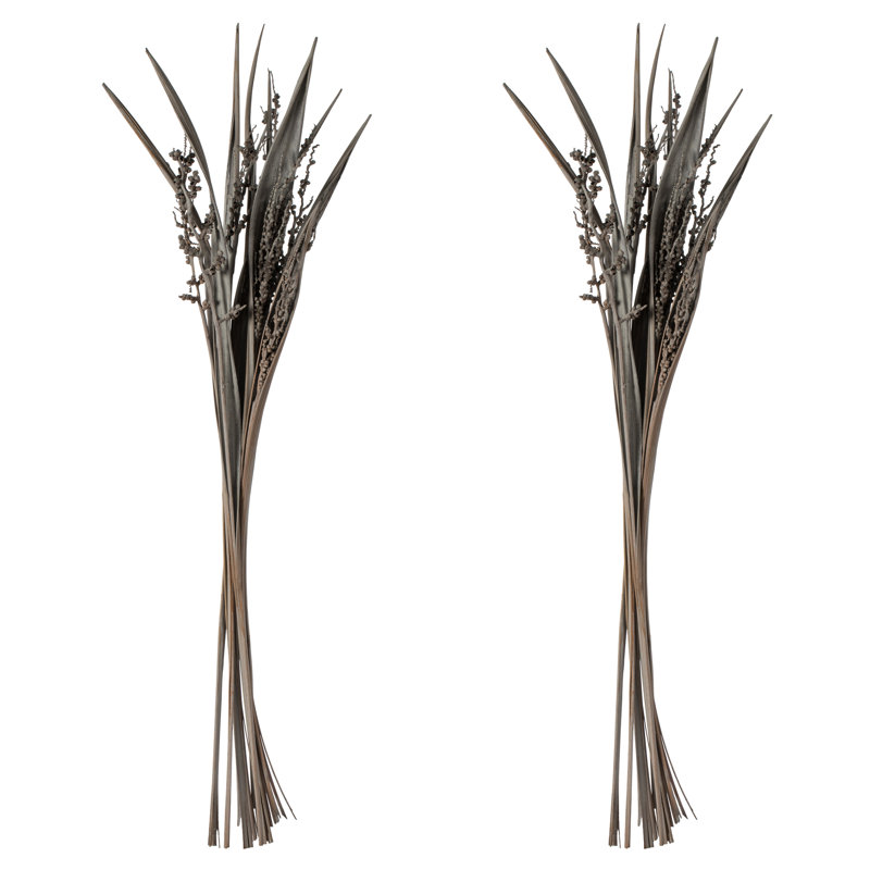 36" Bahia Spears with Seeds, Dried, Gray Wash