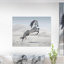 Photographie d'un cheval blanc au galop-35105337-35105343