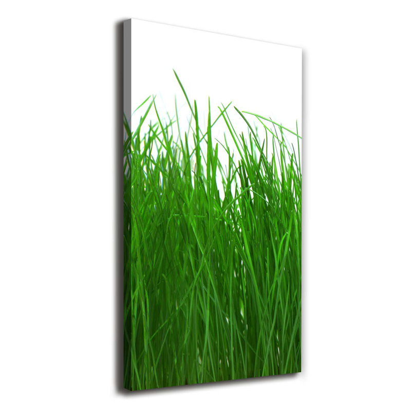 Grass - Wrapped Canvas Print