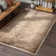 Colisha Oriental Indoor Rug