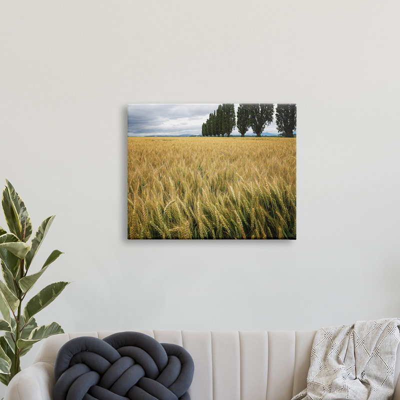 Récolte de blé dans un champ champêtre - photographie, H 24 po x l 30 po, Estampe numérique Farmhouse