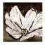 Outlined Beauty II Print by Chelsea Art Studio-26727098-26727104