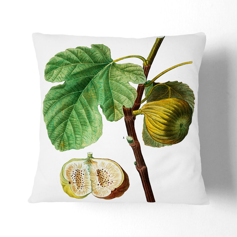 Fig Fruit by Pierre-Joseph Redoute Cushion with Filling, 40cm H x 40cm W x 15cm D