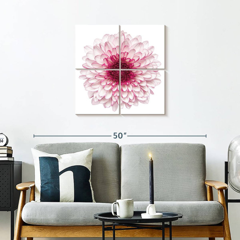 Harnek Pink Chrysanthemum