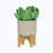 Yeilin Ceramic Pot Planter