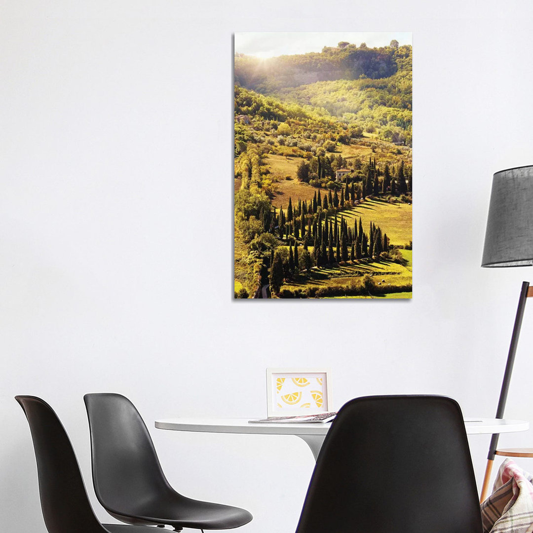 Countryside In Tuscany Italy With Cyprus Trees von Susan Richey - Gallery-Wrapped Canvas Giclée on Canvas