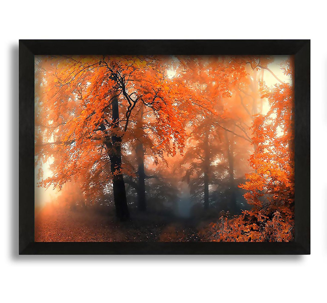 Gerahmtes Leinwandbild Autumn Orange Mist