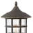 Freeport 1 -Light 17.75" H Lantern Head-92876299