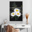 Harnek Daisy Bouquet sur fond noir-108627662