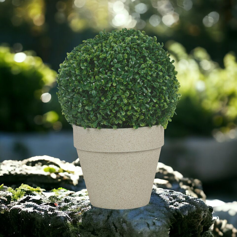 Caydon Pot Planter, Sandstone, 28 H x 28 W x 26 D cm