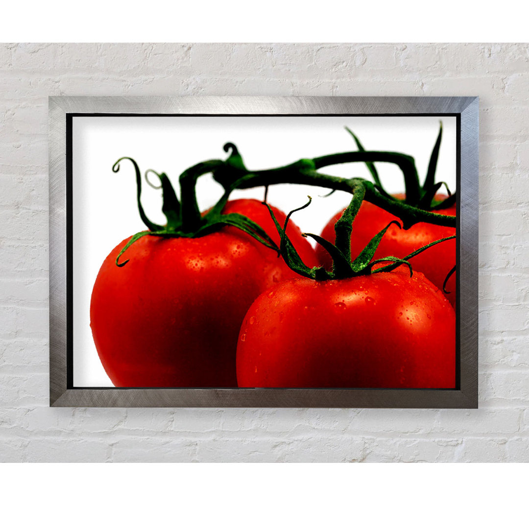 Gerahmter Kunstdruck Tomato Trio