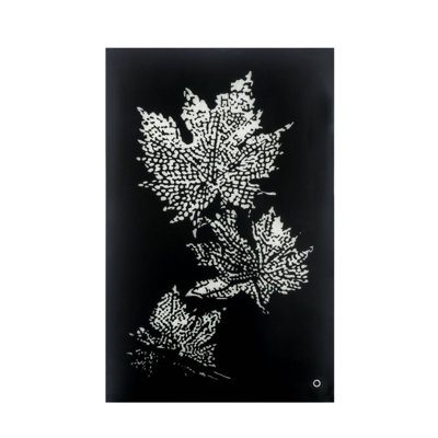 Avaiyah Wall Art W/Led