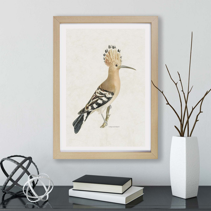Hoopoes Bird by Von Wright - Framed Print, 33cm H x 45cm W x 2cm D, Oak