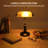 Fallon Vintage Bankers Lamp with Pull Chain Switch Traditional Amber Glass Shade Table Lamp
