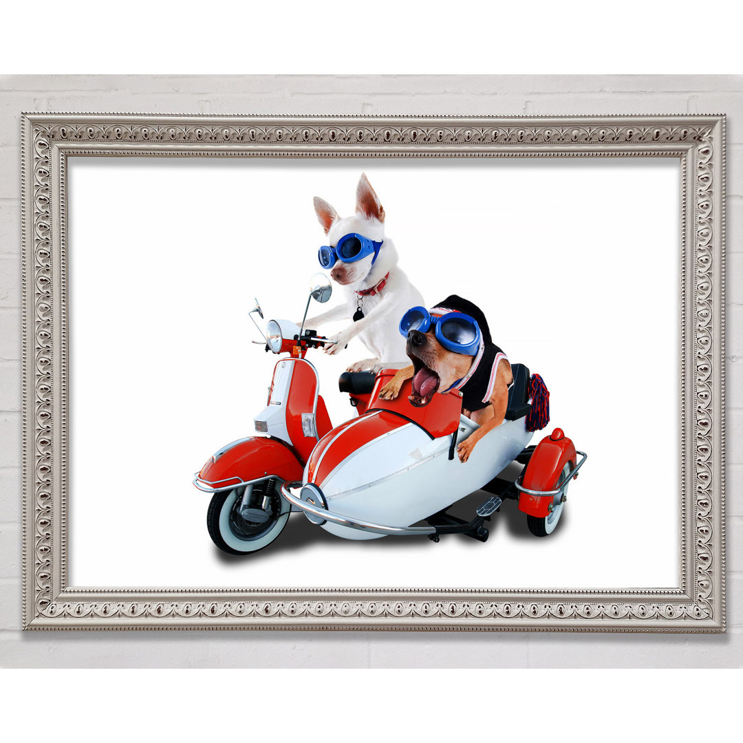 Chihuahua Sidecar Mayhem Dogs - Einzelne Bilderrahmen Kunstdrucke