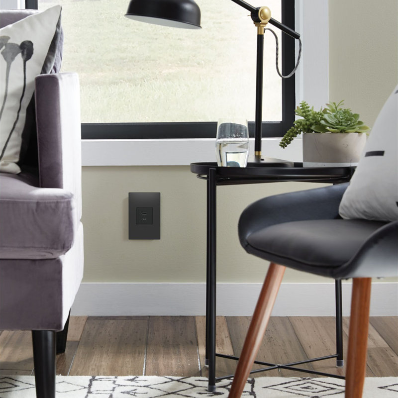 Prise de courant USB ultra rapide Adorne, Graphite