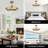 Giovanny 27.3" W Integrated LED Caged Ceiling Fan-924077881