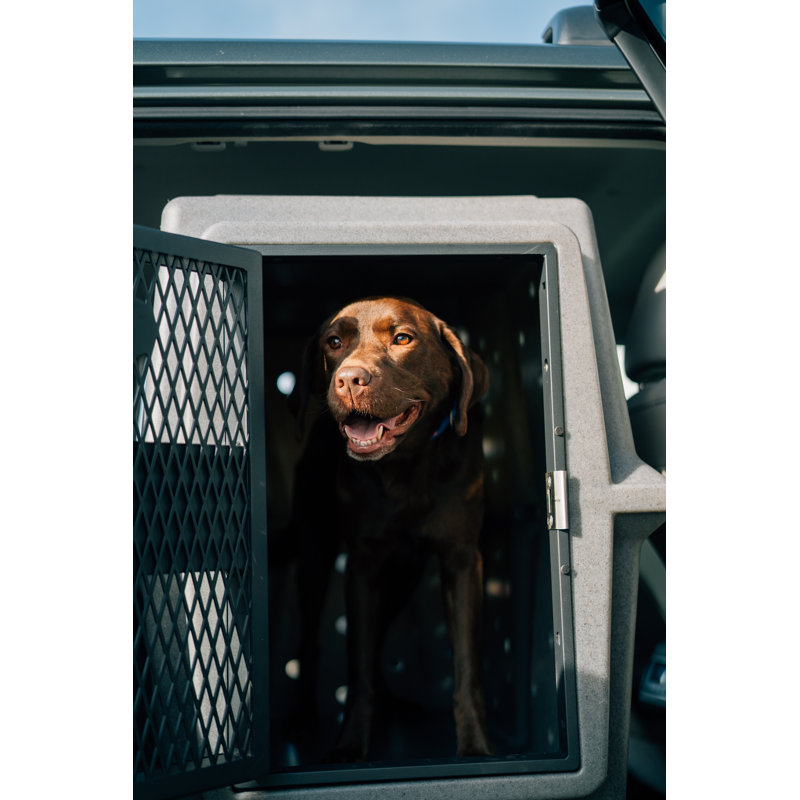 Plastic Pet Crate with 2 Doors, Dark Granite