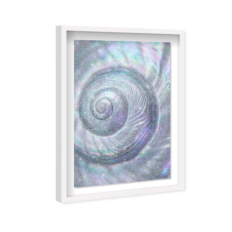 Sea Spiral Shadowbox Nautical & Beach Print by Oliver Gal, Black Frame, 10 x 15, 16.5"H x 11.5"W, White Shadowbox