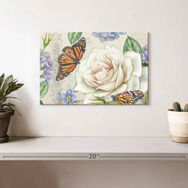 Jardin de roses Harnek en fleurs IV, H 8 po x l 12 po