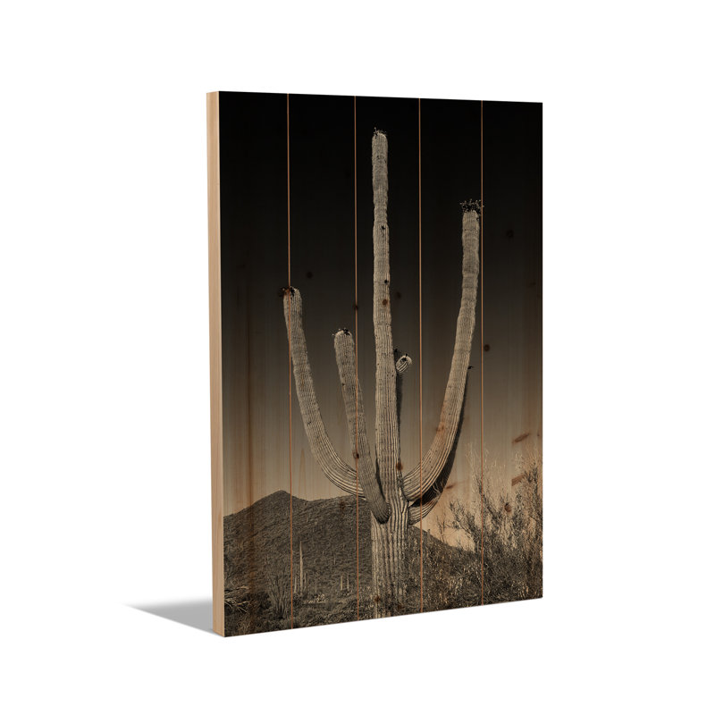 Reproduction d'art en bois sur bois - Parc national du Saguaro, Saguaro géant en noir et blanc par Melanie Viola