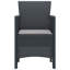 Chaise de jardin vidaXL 2 pièces anthracite 20,87 po x 19,29 po x 33,46 po-30906550-30906548