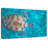 Swimming Hawksbill Sea Turtle-107699798