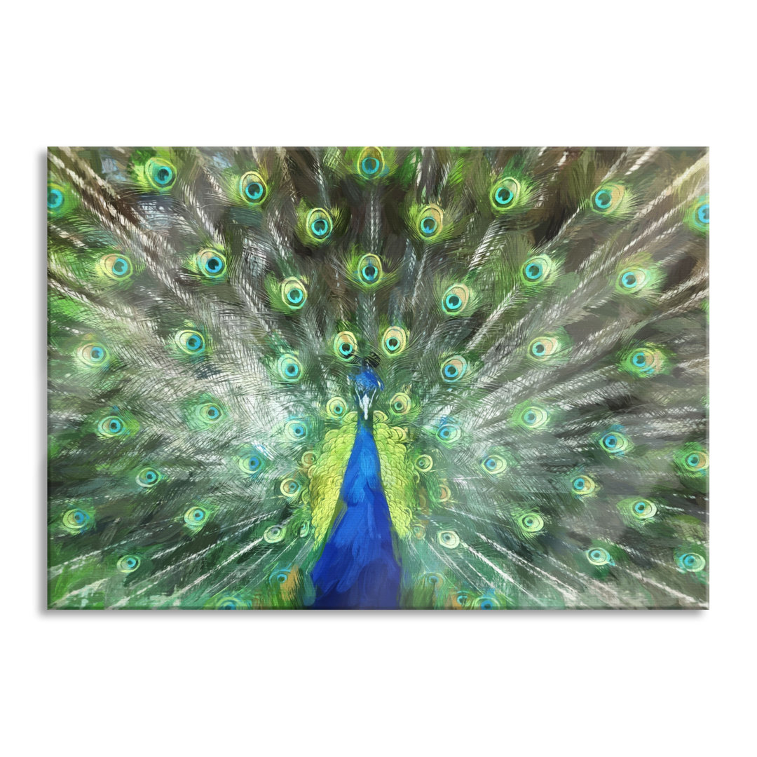 Glasbild Pfau mit seinem Gefieder