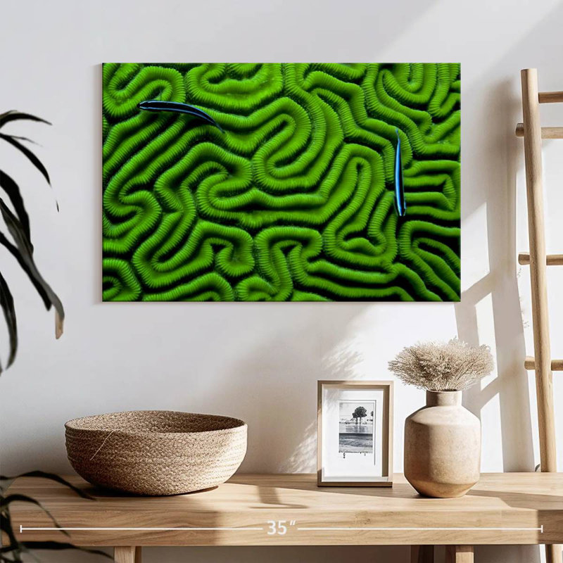 Corail vert Brampt, H 32 po x l 48 po